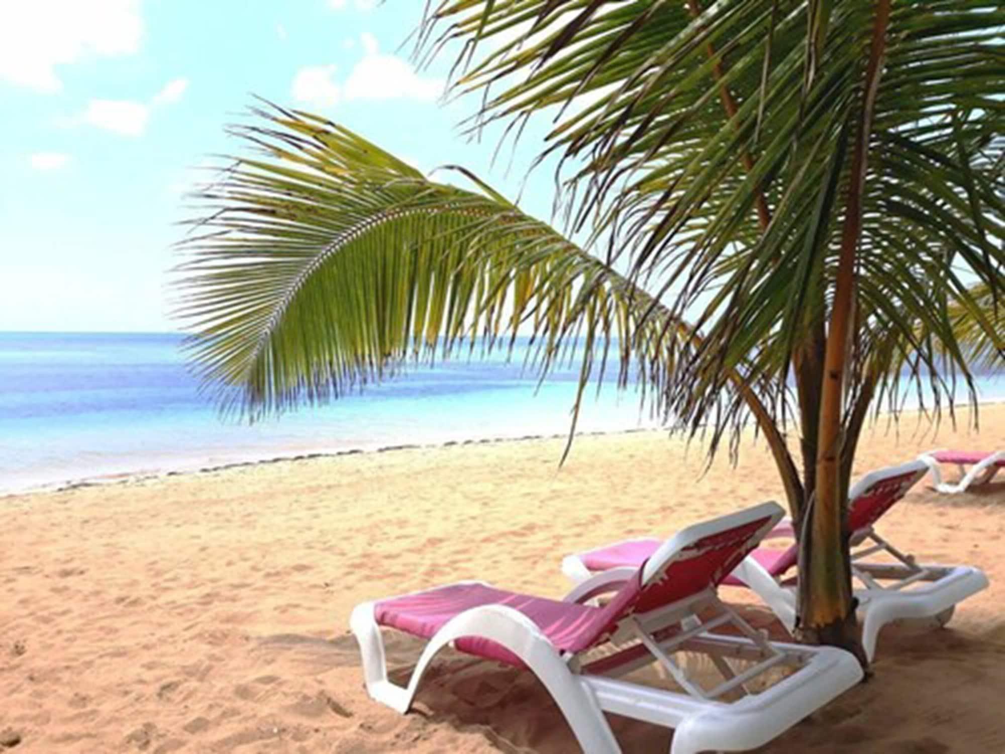 Louisa Apartamentos Las Terrenas Kültér fotó